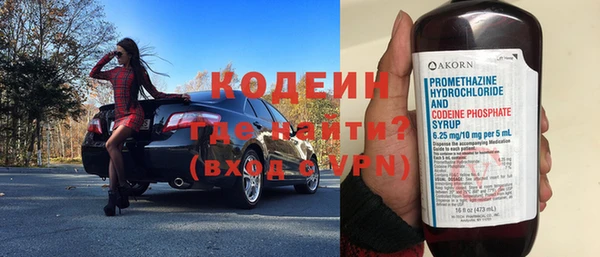 прущие грибы Михайлов